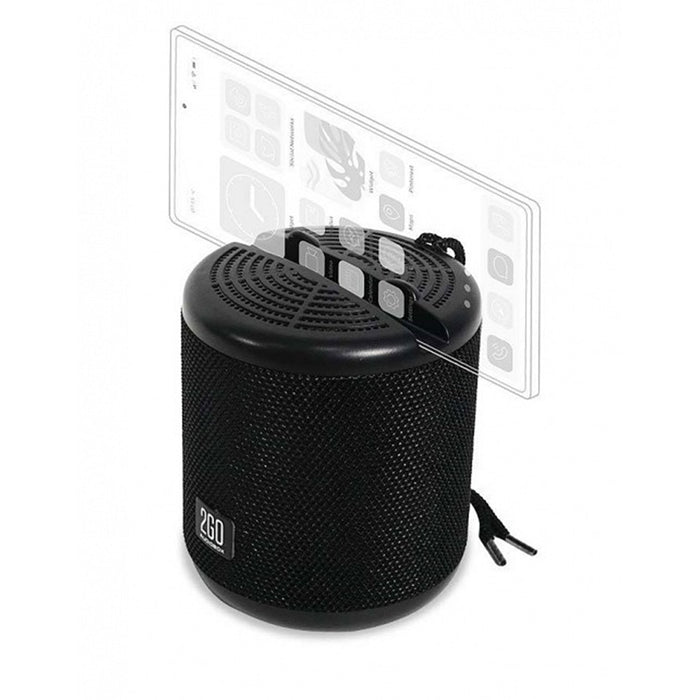 AudioBox 2Go-Dock100 Portable Speaker