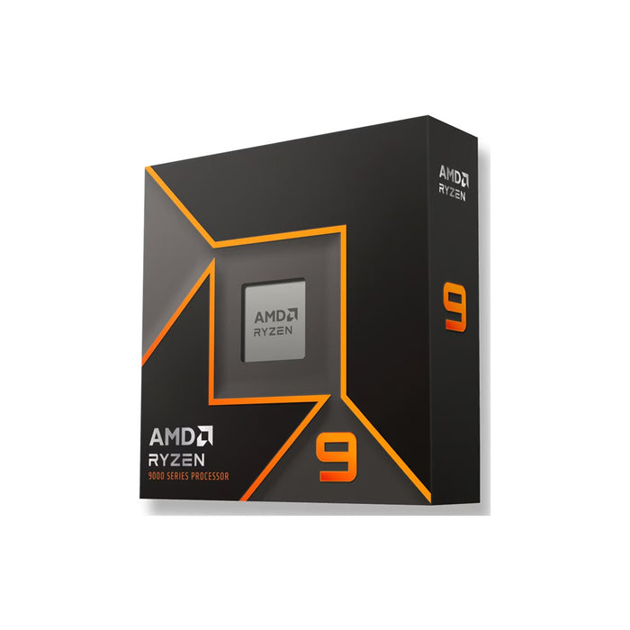 AMD CPU Ryzen 9 9900X