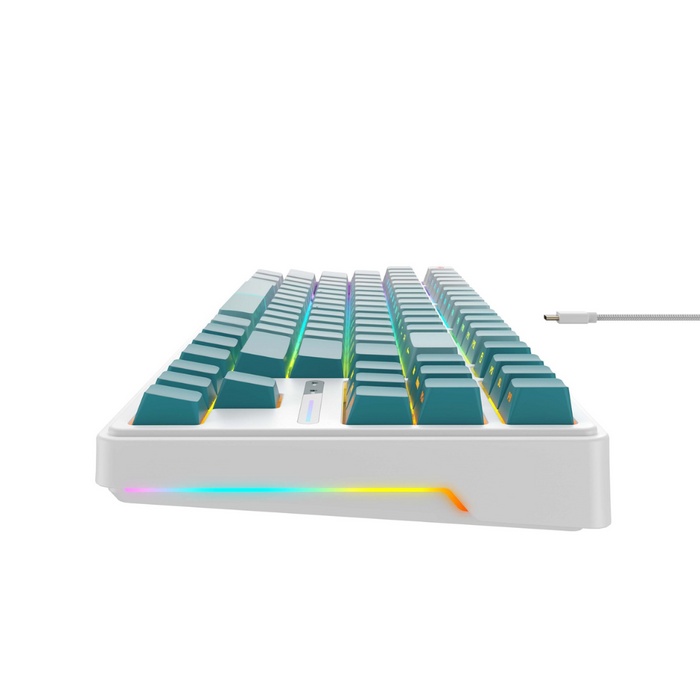 Havit Wired Gaming Keyboard KB901L