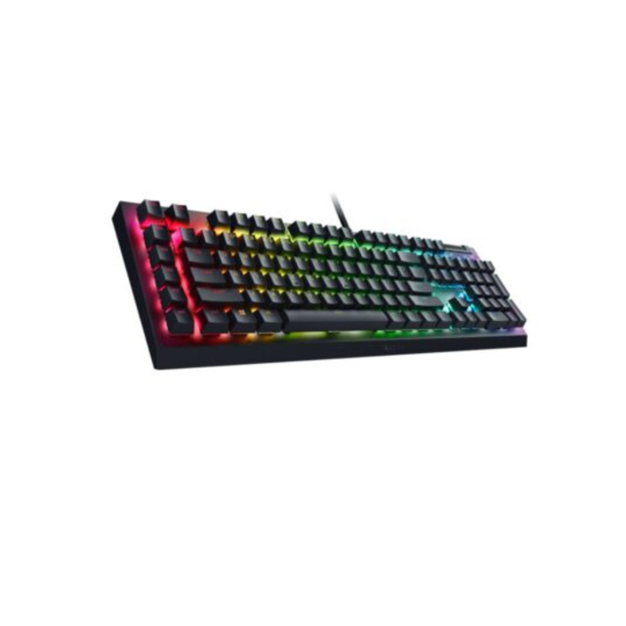 Razer Mechanical Wired Gaming Keyboard Blackwidow V4 X Green Clicky