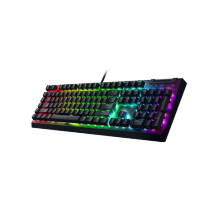 Razer Mechanical Wired Gaming Keyboard Blackwidow V4 X Green Clicky