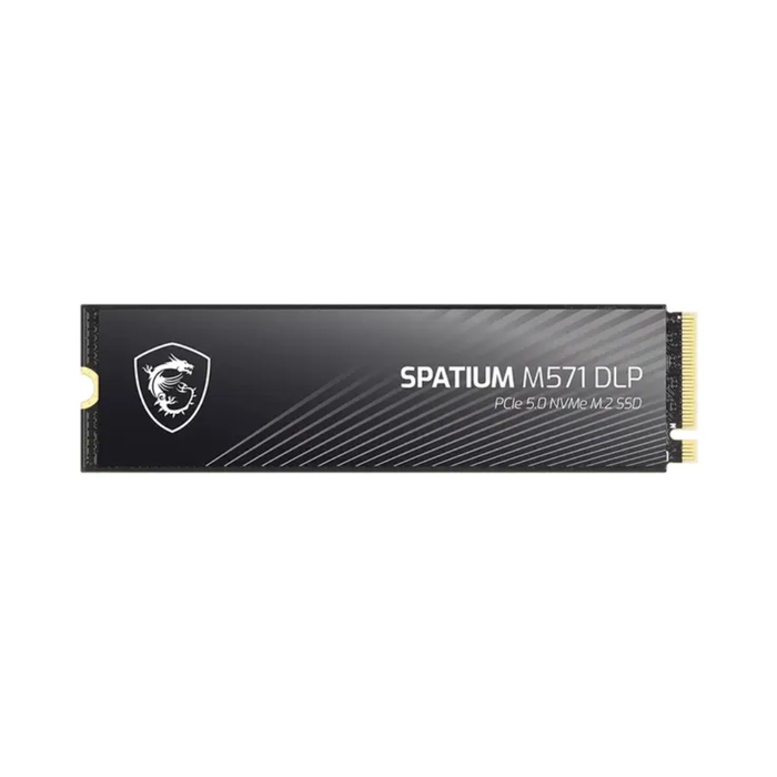 MSI Spatium SSD M571 M.2 NVMe 2TB