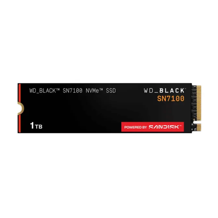 Western Digital SSD Black SN100 M.2 NVMe 1TB