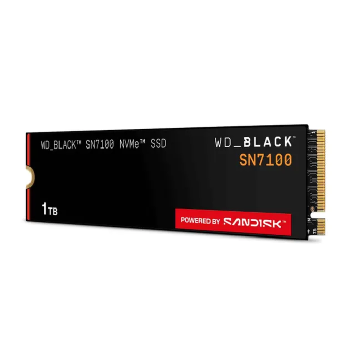 Western Digital SSD Black SN100 M.2 NVMe 1TB