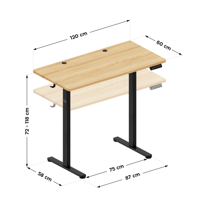 Mark Adler Leader 6.9 Electric Desk