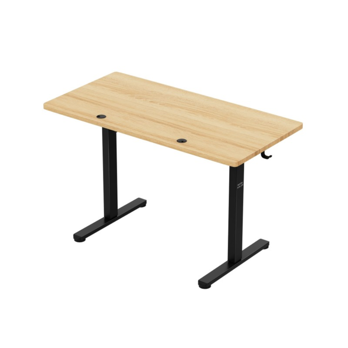 Mark Adler Leader 6.9 Electric Desk