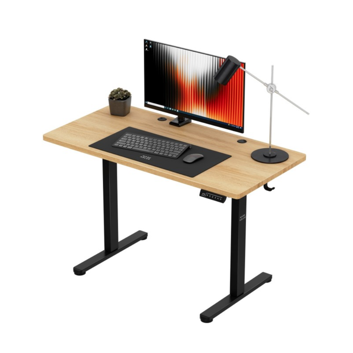 Mark Adler Leader 6.9 Electric Desk