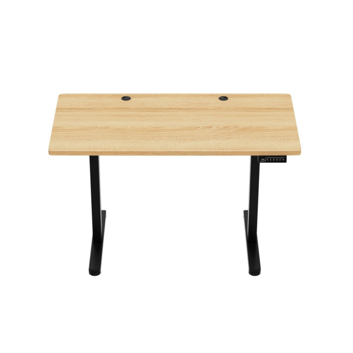 Mark Adler Leader 6.9 Electric Desk