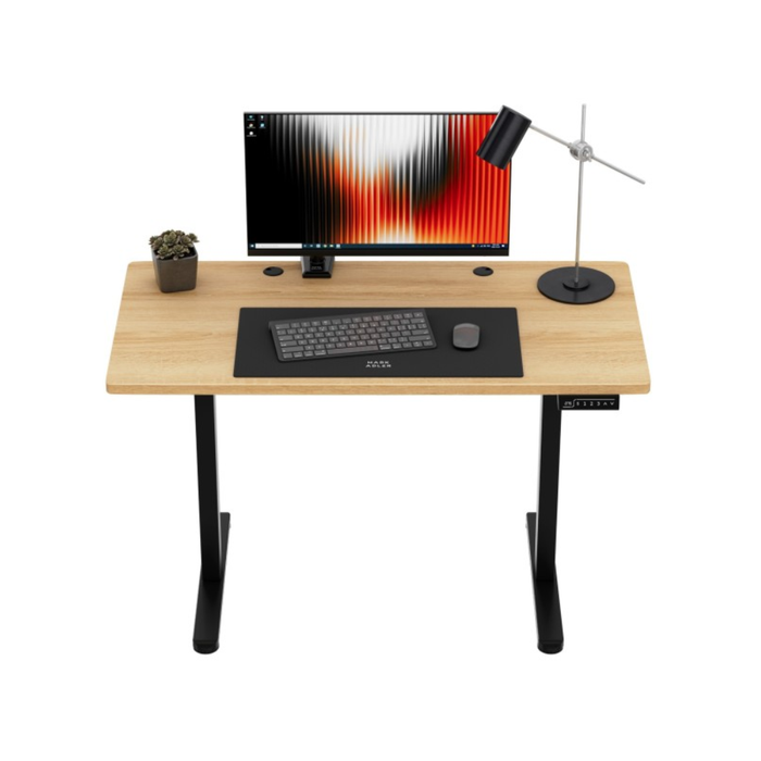 Mark Adler Leader 6.9 Electric Desk