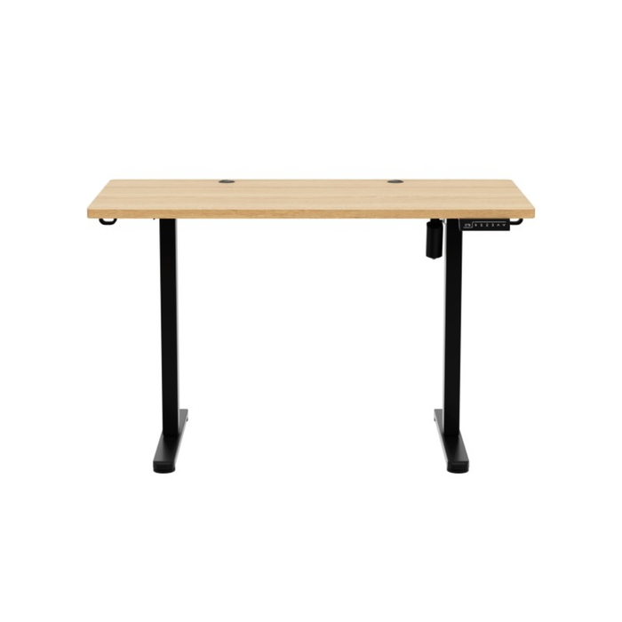 Mark Adler Leader 6.9 Electric Desk
