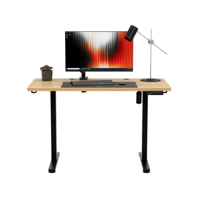 Mark Adler Leader 6.9 Electric Desk