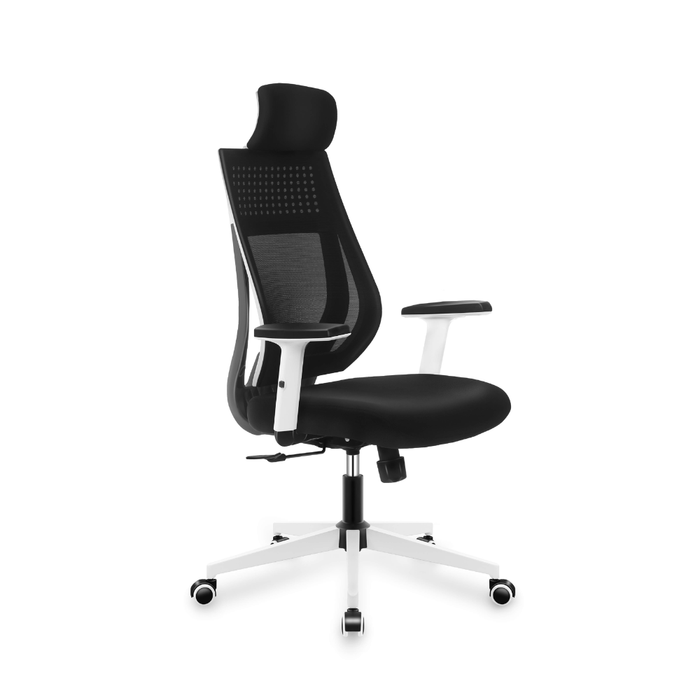 Mark Adler Manager 3.9 Ergonomic Office Chair Black
