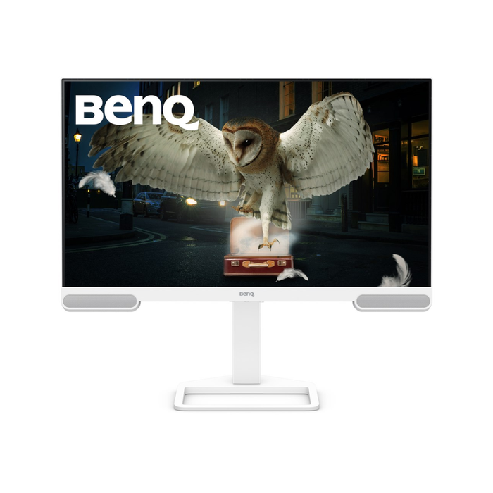 BenQ Business Monitor EW3290U 31.2" UHD 60 Hz