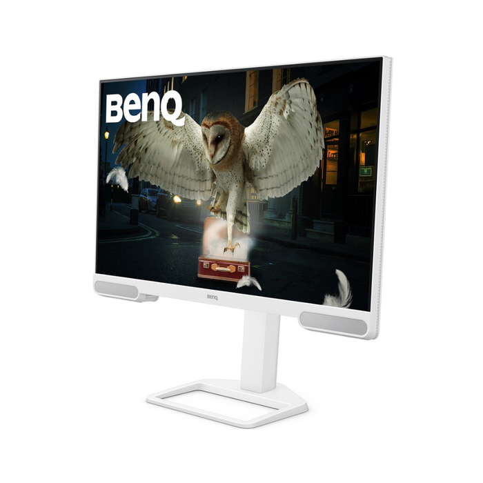 BenQ Business Monitor EW3290U 31.2" UHD 60 Hz