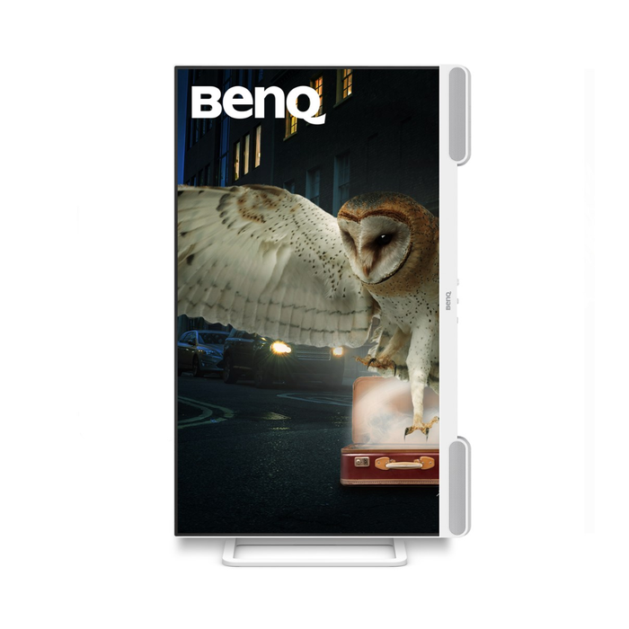BenQ Business Monitor EW3290U 31.2" UHD 60 Hz