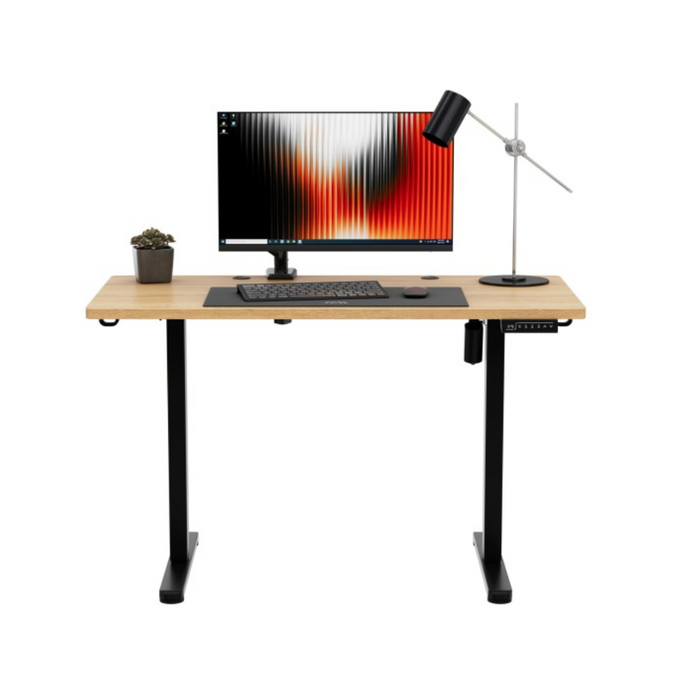 Mark Adler Leader 6.9 Electric Desk