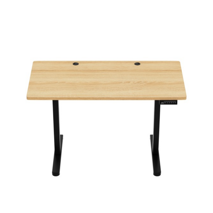 Mark Adler Leader 6.9 Electric Desk