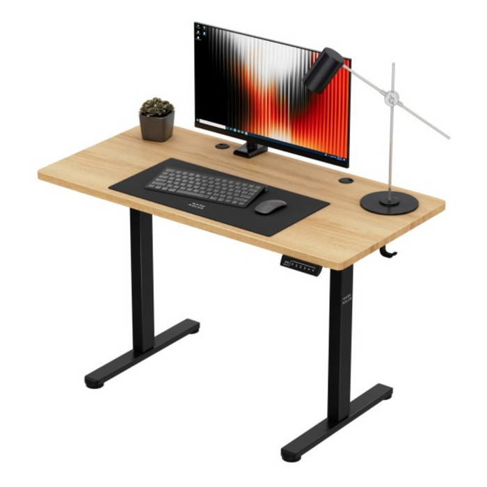 Mark Adler Leader 6.9 Electric Desk