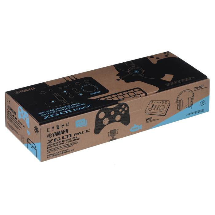 Yamaha ZG01 Audio Interface and Headset with Microphone