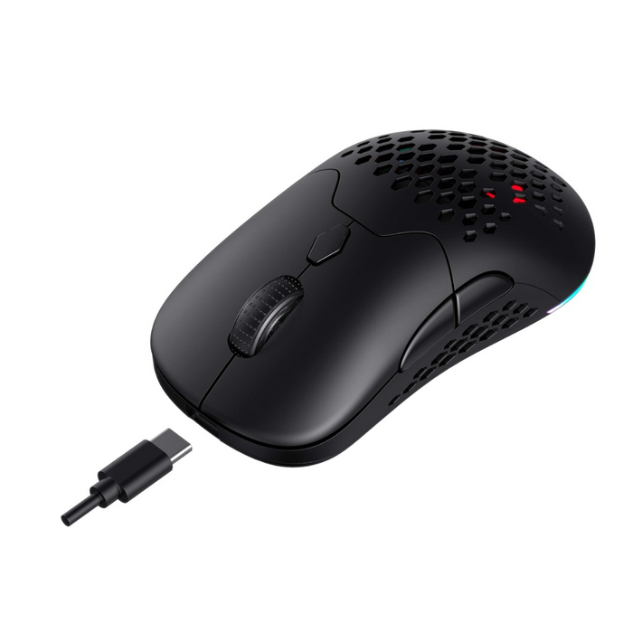 Havit Wireless Gaming Mouse MS963WB