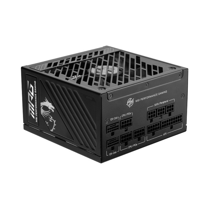 MSI MPG Power Supply A1250GS Gold 1250W
